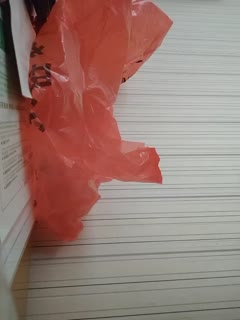 淫妻出轨