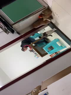 国产乱伦